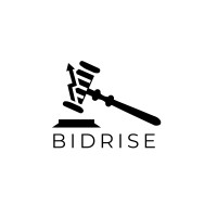 BIDRISE logo - Similar company to Quickbid Systems Pvt. Ltd.