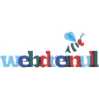 Web-Dreinull Consulting