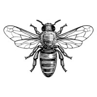 Hipsh & Co. logo - Similar company to Beanology Coffee2Go