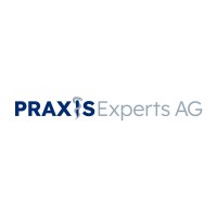 PraxisExperts AG logo - Similar company to Taras