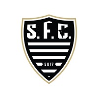 SantoDomingoFC logo - Similar company to Suburban Football Club