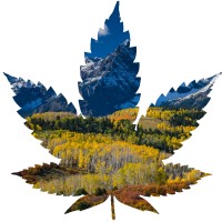 Sustainabis logo - Similar company to 3D Fablight