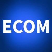 Ecom Solution Services logo - Similar company to Spycare Digital