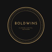 BOLDWINS logo - Similar company to Lyte Aviation
