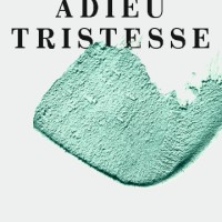 Adieu Tristesse - fugenlose Beschichtungen logo - Similar company to Ensemble