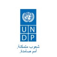 UNDP Saudi Arabia logo - Similar company to Geosa