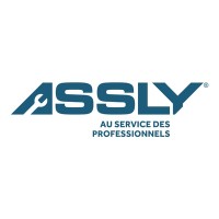 Assly logo - Similar company to Broad Technology