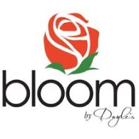 Bloom by Doyle's logo - Similar company to Balsam Hill Llc