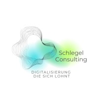 Schlegel Consulting logo - Similar company to Like Lines Germany Gmbh