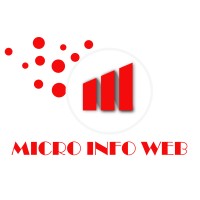 Micro Info Web logo - Similar company to Eversoft Technologies Llc