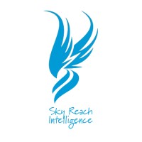 Sky Reach Intelligence logo - Similar company to Values Associates