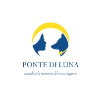 Ponte Di Luna logo - Similar company to Professionals' Solutions Srl - Aps Srl