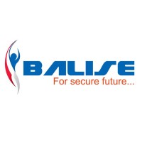 Balise Consultants Pvt. Ltd logo - Similar company to Ras Fundfinder India Pvt Ltd