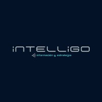 Intelligo, Información y Estrategia logo - Similar company to Netvideo.Tv