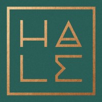 HALE Global Consulting logo - Similar company to Mstq