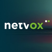 NetVox Assurances logo - Similar company to Maxance - Groupe Vilavi