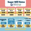 Sugar Mill Rates logo - Similar company to Disoriented Penguin