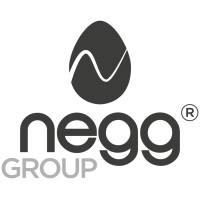 negg Group logo - Similar company to Cy4Gate