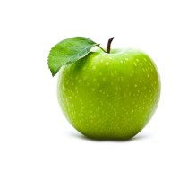 fruits logo - Similar company to Creator Ghost