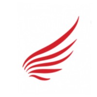 Tianyi Consulting logo - Similar company to Vortière