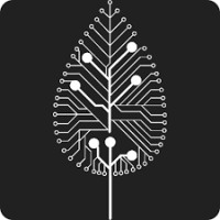 VidaArak logo - Similar company to Solidlines Tech Services