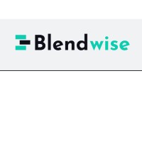 BlendWise logo - Similar company to Devzoo