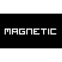 Magnetic logo - Similar company to Vizions