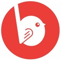 BirdieEyes AS logo - Similar company to Frontbyte Team