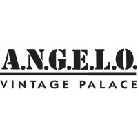 A.N.G.E.L.O. Vintage Palace logo - Similar company to Millesime