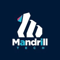 Mandrill Tech Sdn Bhd logo - Similar company to Systech Digital Solutions