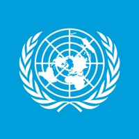 United Nations Youth Office logo - Similar company to Children And Youth Major Group To The Un Environment Programme