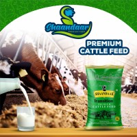 Shaandaar Nutrition logo - Similar company to Kumar Animal Feeds