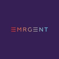 eMRGent Risk Solutions Limited logo - Similar company to Eirs
