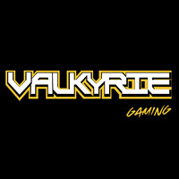 Valkyrie Gaming logo - Similar company to Equal Finance