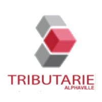 TRIBUTARIE ALPHAVILLE logo - Similar company to Ak System Rh, Alphaville