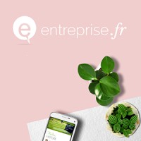 Entreprise.fr logo - Similar company to 4Web Les Halles
