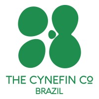 The Cynefin Co. Brazil logo - Similar company to Adaptworks