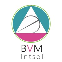 BVM Intsol logo - Similar company to Ask Digital Solution Pune