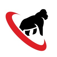 Primate Technologies logo - Similar company to Ferro Power Solutions