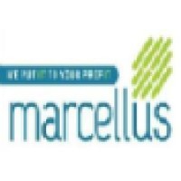 Marcellus infotech Pvt Ltd