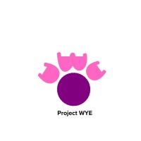 PROJECT WYE (Women and Youth Empowerment) logo - Similar company to Beyond The Stereotypes