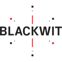 Blackwit Cybersolutions logo - Similar company to Amsat