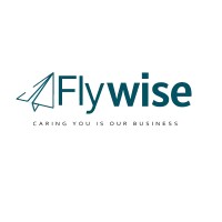 Fly wise logo - Similar company to Flywise