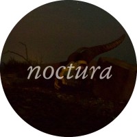 Noctura logo - Similar company to All At Once