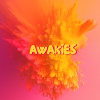 AWAKIES logo - Similar company to Yolla