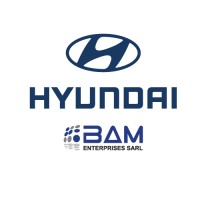 Hyundai Tcha logo - Similar company to Ecag