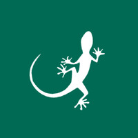Mongabay logo - Similar company to Cambiumh - Changemaker Organisation