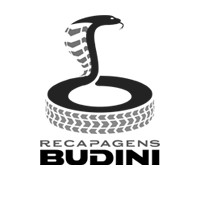 Recapagens Budini logo - Similar company to Budini