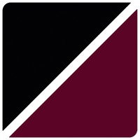 Anderson O'Brien Law Firm logo - Similar company to Ascenttra