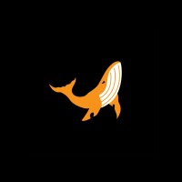 Cryptowise logo - Similar company to Hakimson